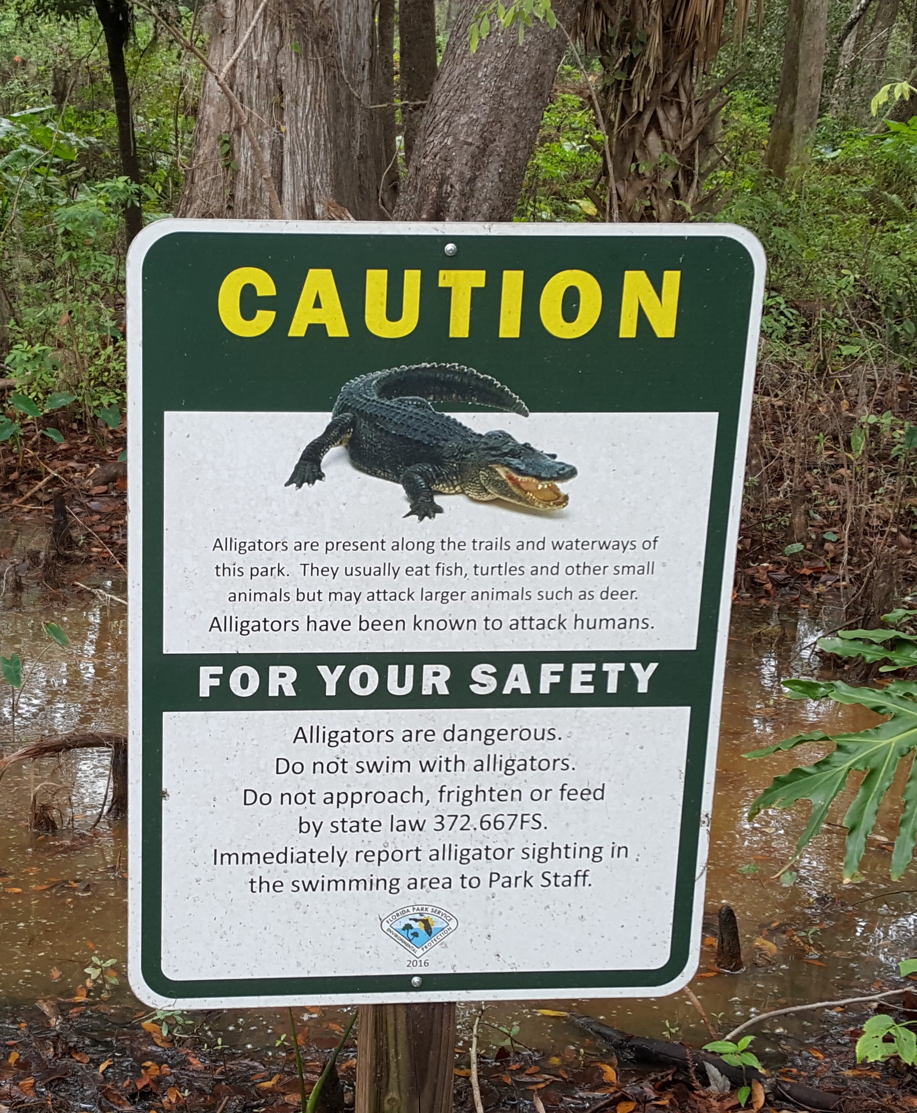 pas op alligator
